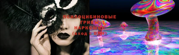 прущий лед Аркадак