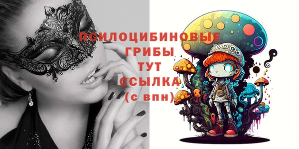 прущий лед Аркадак